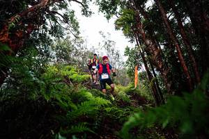 BIB: 
                            <button type="button" onclick="openModal(26203999)" class="btn btn-primary btn-sm float-right btn-popup" data-toggle="modal" data-target=".modal-high-quality">
                        <i class="fas fa-shopping-cart"></i> Add to Cart
                    </button>
                                            <button type="button" onclick="isThisMe(26203999, true)" class="btn btn-success btn-sm float-right btn-popup btn-isme hidden" data-toggle="tooltip" data-placement="bottom" title="นี่คือรูปของคุณใช่ไหม คลิกที่นี่เพื่อเอาเข้าอัลบั้ม">
                        <i class="fas fa-plus"></i> Add to album
                    </button>
                    <button type="button" onclick="isThisMe(26203999, false)" class="btn btn-warning btn-sm float-right btn-popup btn-isnotme hidden">
                        <i class="fas fa-ban"></i> Remove from album
                    </button>